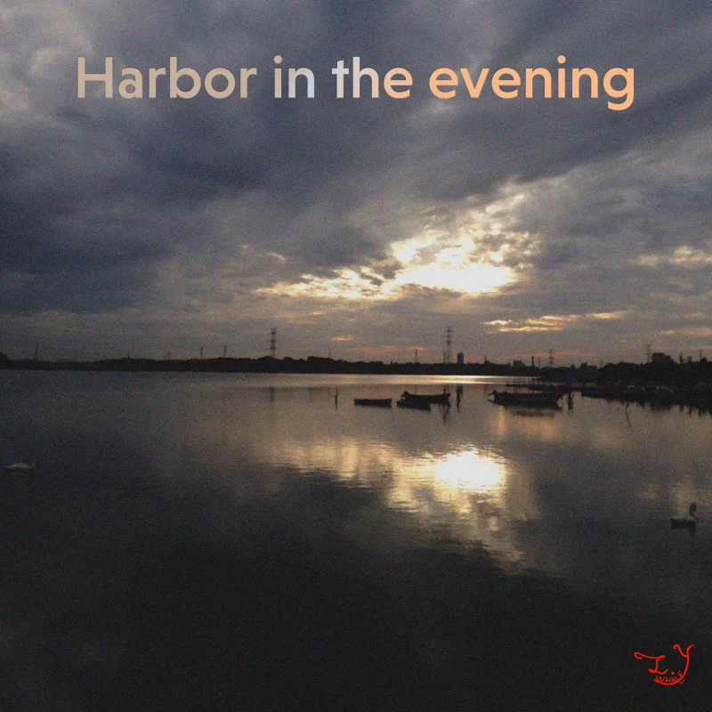 Harbor in the evening